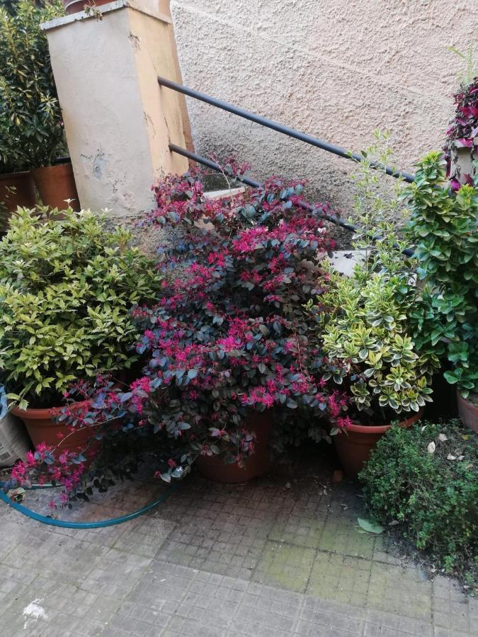 Tra Gianicolo E Trastevere Rome Luaran gambar