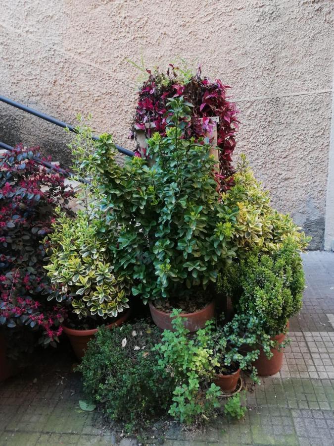 Tra Gianicolo E Trastevere Rome Luaran gambar